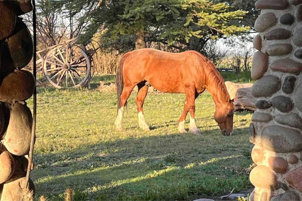 La Escondida Holiday home San Carlos (Mendoza)