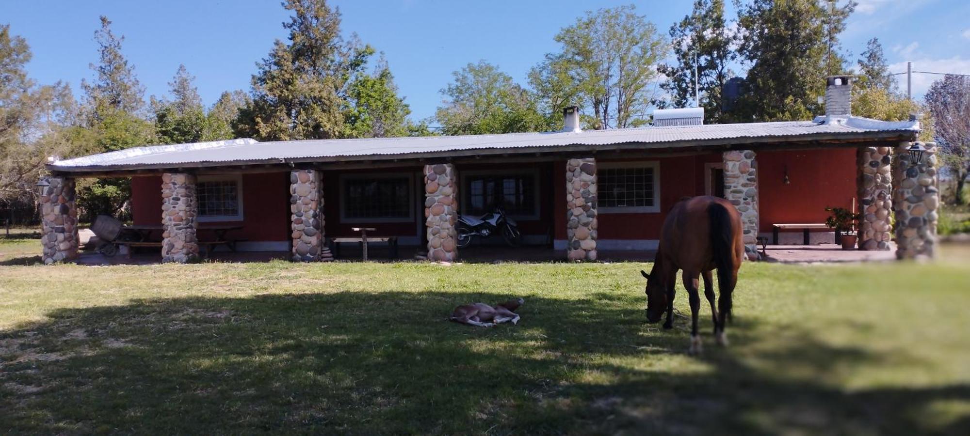 La Escondida San Carlos (Mendoza)